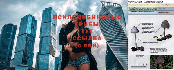 меф Елабуга