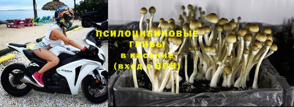 PSILOCYBIN Дмитров