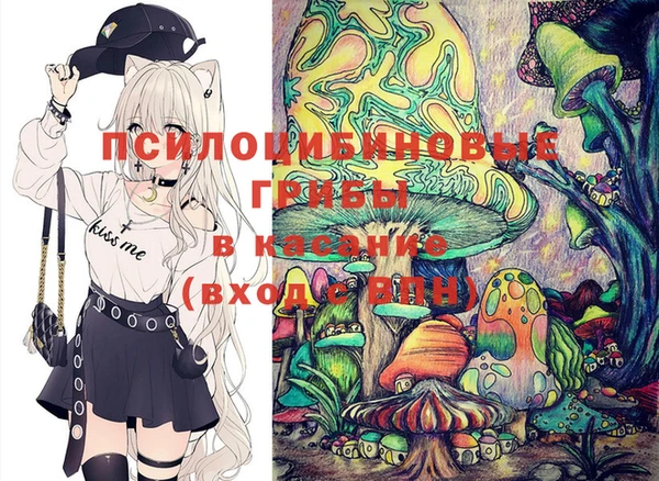 дмт Ельня