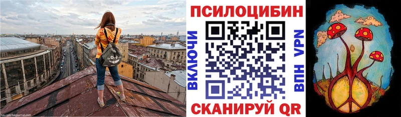 Галлюциногенные грибы Psilocybe  Купить  Краснотурьинск 